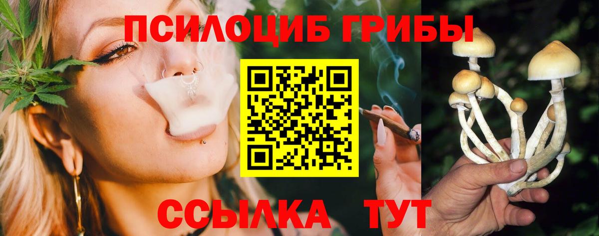 Псилоцибиновые грибы GOLDEN TEACHER  Вход с VPN  Семёнов 